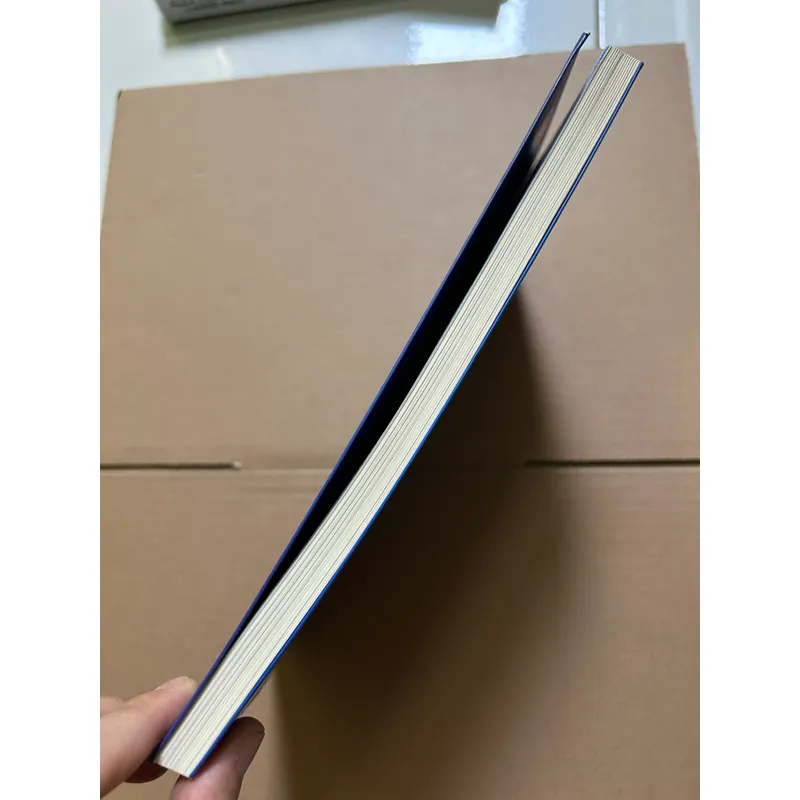 Tài chính cá nhân dành cho người Việt Nam - Lâm Minh Chánh 736756