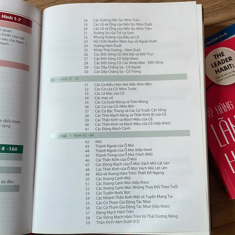 Sách Atlas giải phẫu người  675296