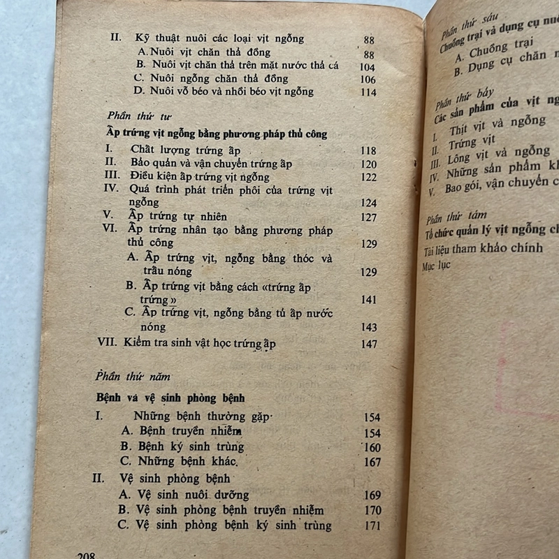 Nuôi vịt ngỗng chăn thả — 1979s 498350