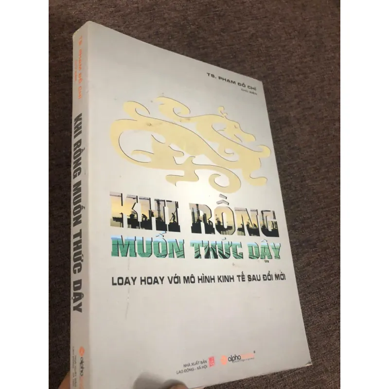 Khi rồng muốn thức dậy - TS. Phạm Đỗ Chí - Kinh tế 1024814