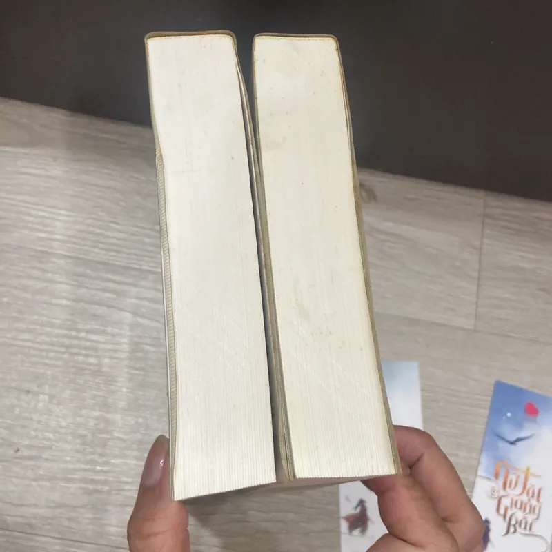 Nữ tặc giang bắc. 537989