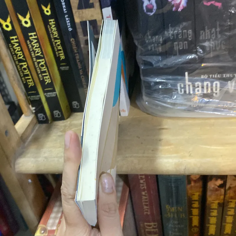 Tiếng gọi Hoàng Thiên Yên  716624