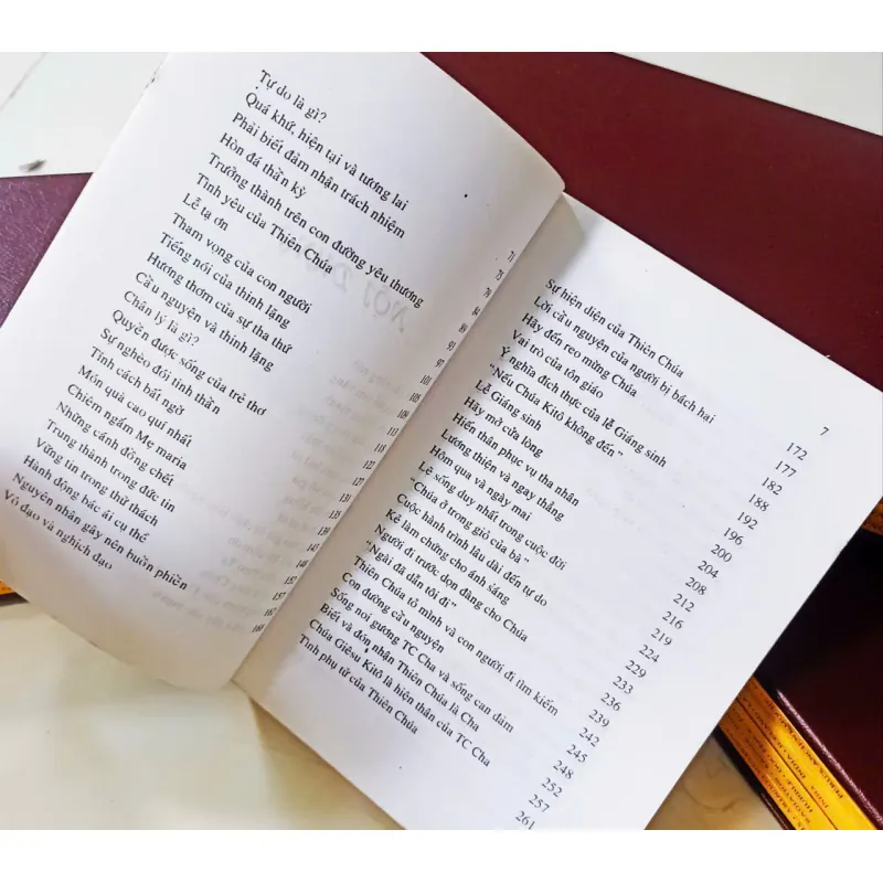 Cánh cửa rộng mở 🌻 592260