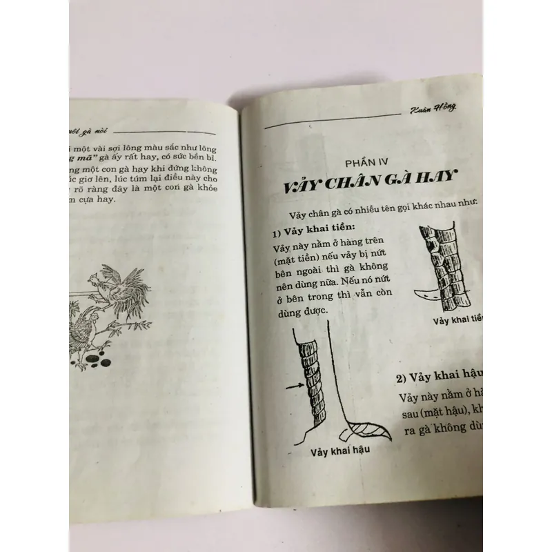 BÍ QUYẾT NUÔI GÀ NÒI THÚ ĐÁ GÀ 726843