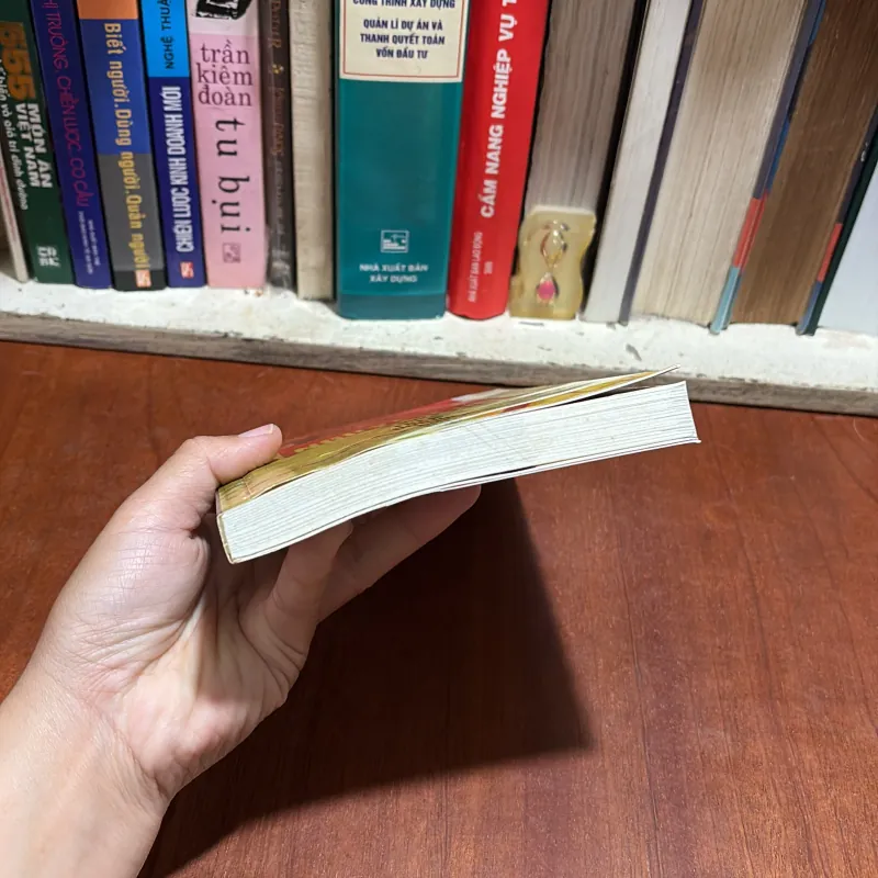 II Văn Học: Nguyễn Du _ Trên Đường Gió Bụi - Hoàng Khôi - 2002 801119