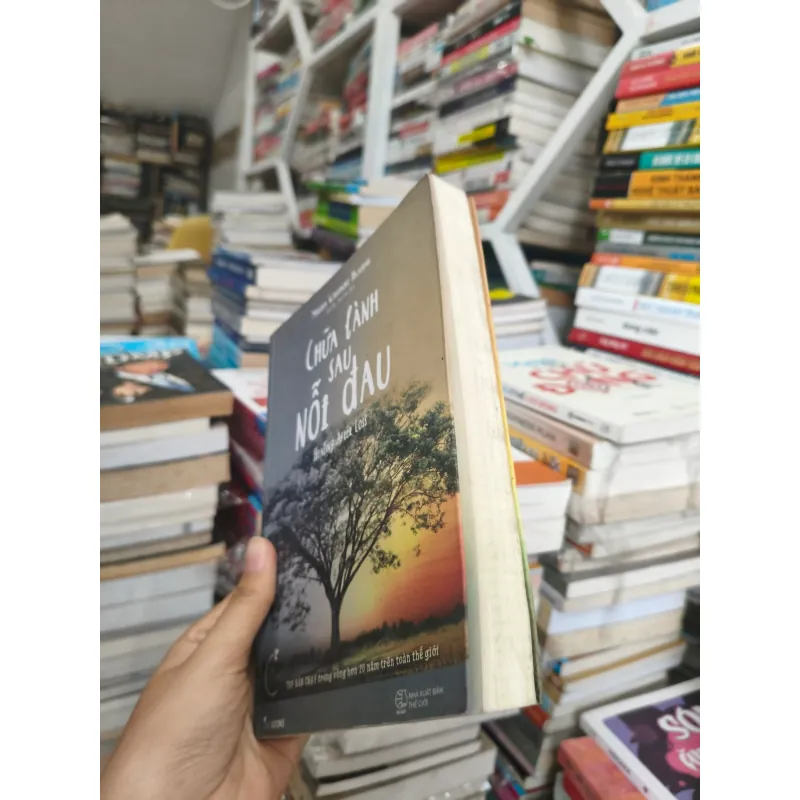 Chữa Lành Sau Nỗi Đau 🌱 748896