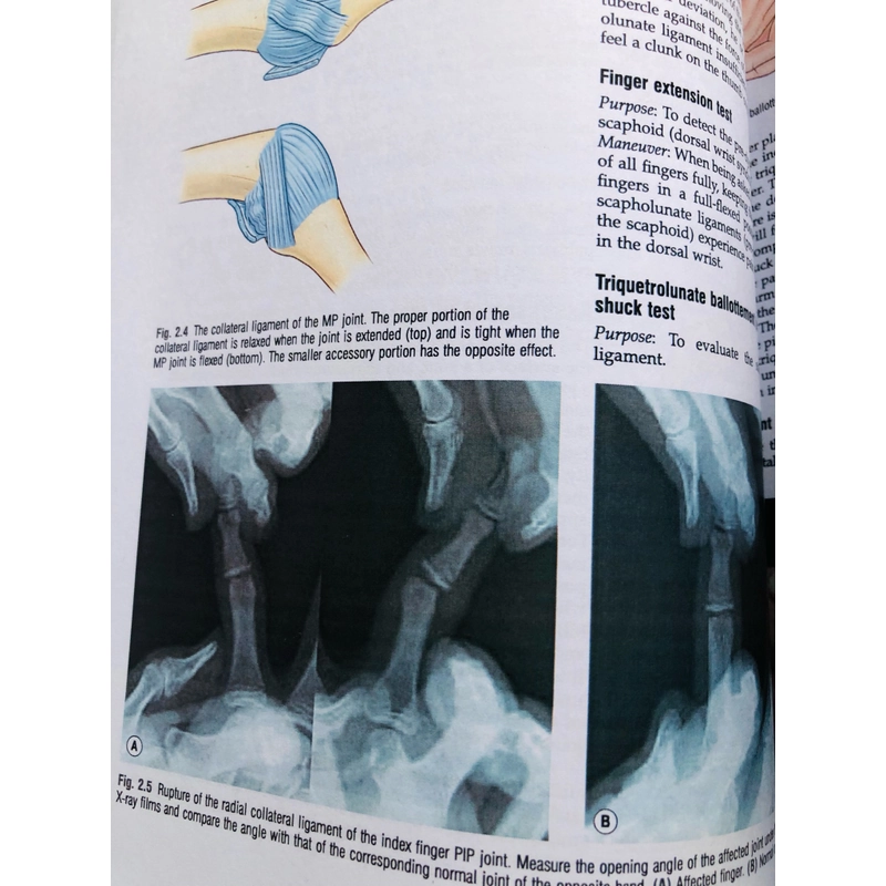 PLASTIC SURGERY ( volume six ) 470603