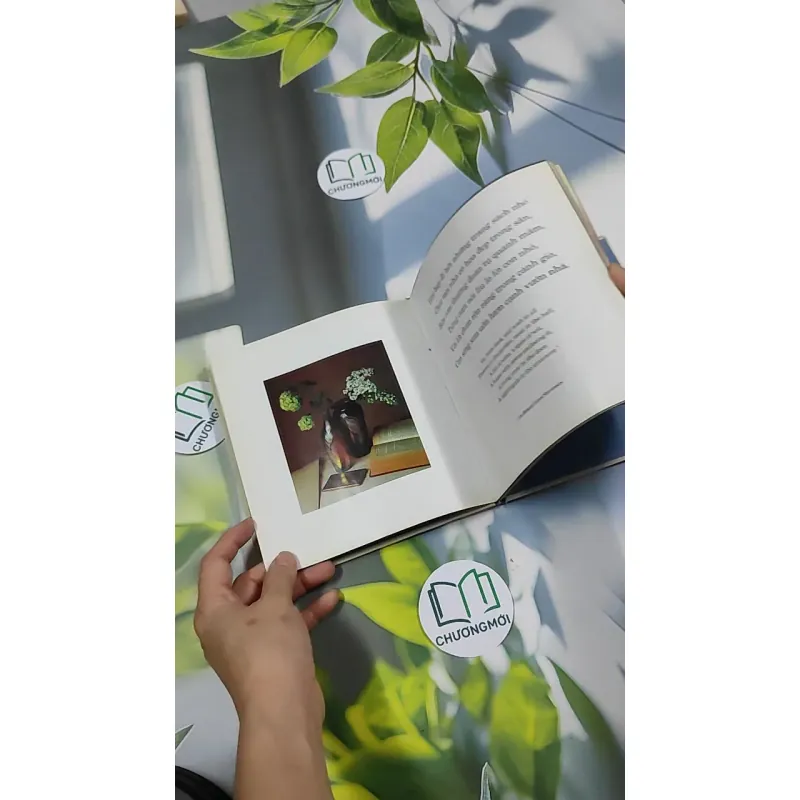 Ý Hoa ( Song Ngữ) - Hồ Anh Thái 750833