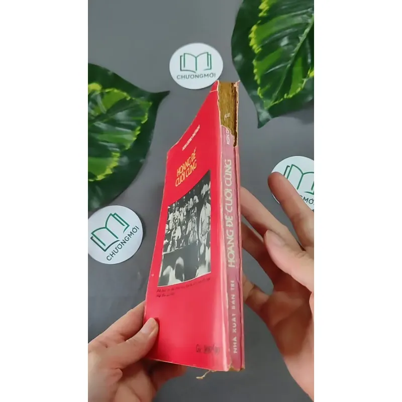 Hoàng Đế Cuối Cùng (1989) - Phổ Nghi 604644