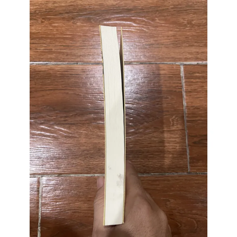 KINH TẾ VÀ XÃ HỘI VIỆT NAM DƯỚI CÁC VUA TRIỀU NGUYỄN - Nguyễn Thế Anh (7) 697831