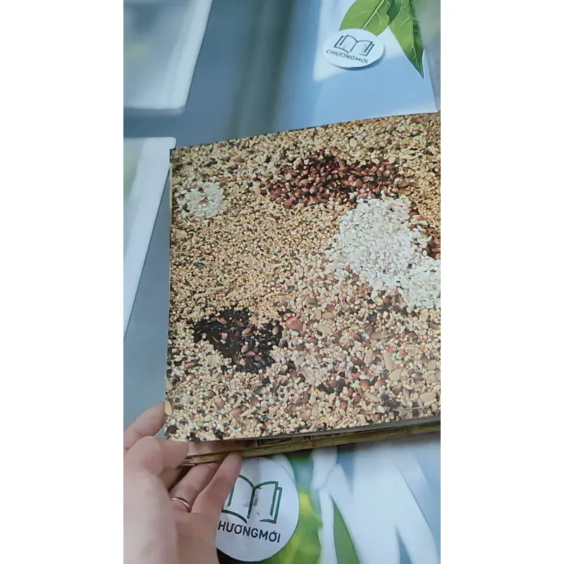 [Tặng nẹp góc] Truyện thiếu nhi Hàn Quốc: Moyamo Anu 56 -  모야모 아누와: 카멜레온에게 혼쭐난 아난시 732060