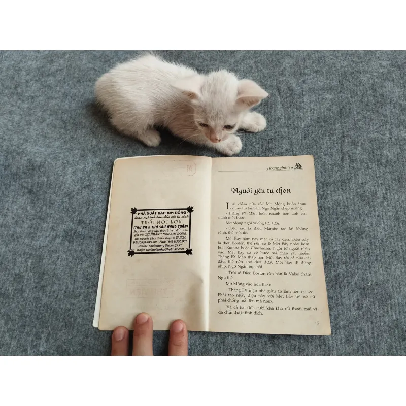 HOA HỒNG KHÔNG CÔ ĐƠN - HOÀNG ANH TÚ 567802