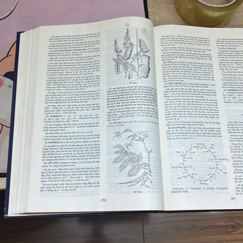 Từ điển bách khoa Dược học 976426