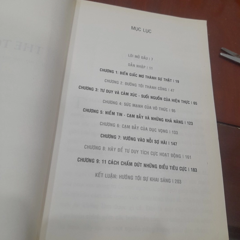Som Sujeera - THE TOP SECRET, Biến mọi ước mơ thành sự hhaajt nhờ Luật Hấp Dẫn 452616