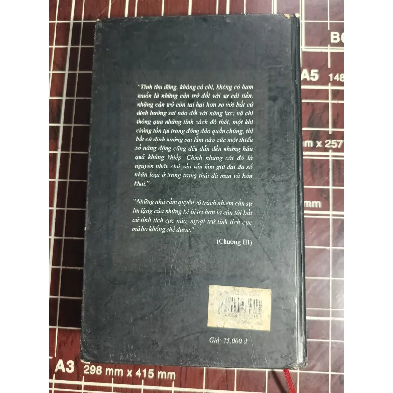 Chính thể đại diện - John Stuart Mill 754703