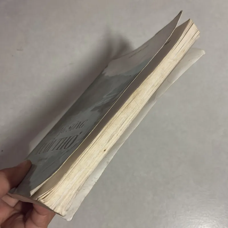 Dòng sông tuổi thơ 778591