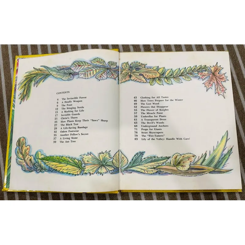 The Magic Tree (Cây thần kỳ) Bìa cứng  599391