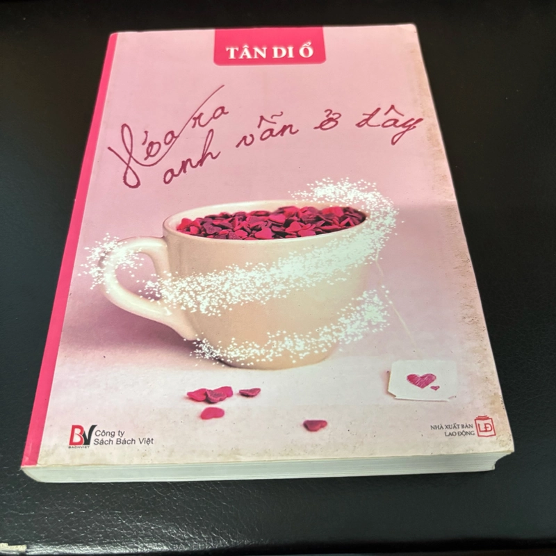 Hoá ra anh vẫn ở đây - Tân Di Ổ 521678
