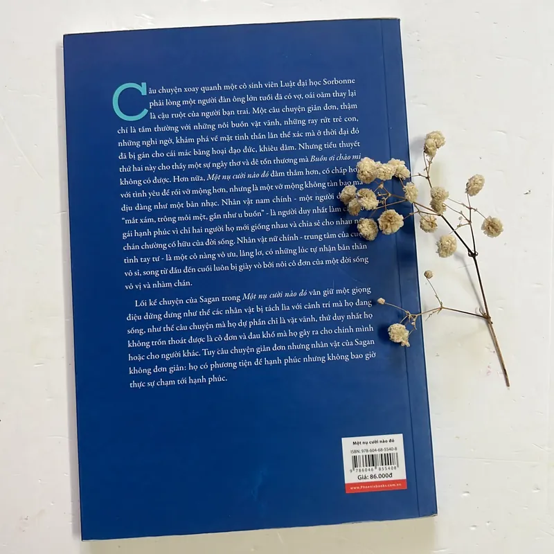 Một nụ cười nào đó – Françoise Sagan  596527