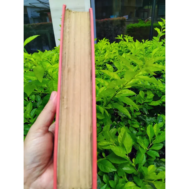 Đỉnh gió hú của Emily Bronte 960820