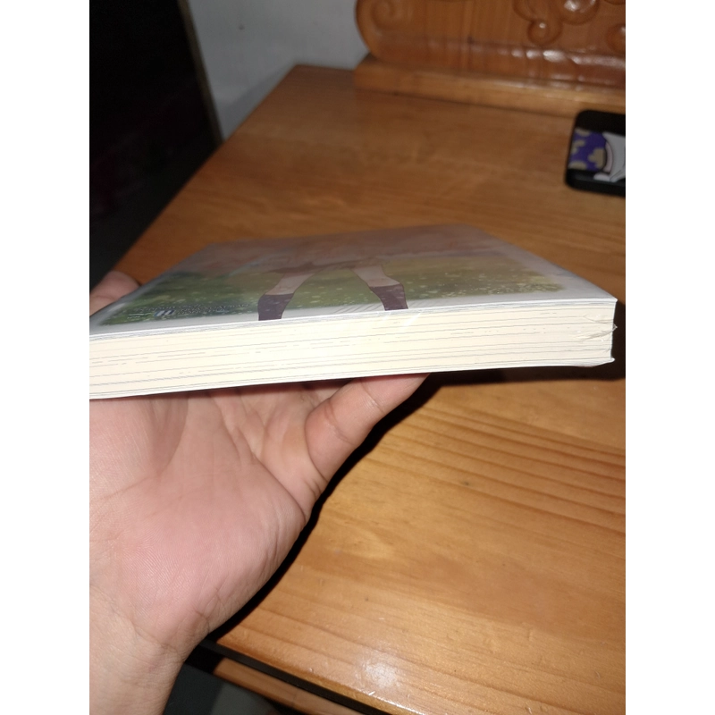 Mùa hè thứ hai mất em mãi mãi 501629