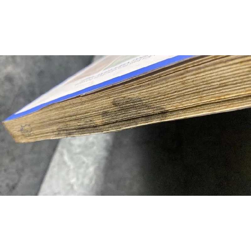 Đi Tìm Bản Sắc Tiếng Việt - Tác giả Trịnh Sâm -NXB Trẻ 2018 -Sách lưu kho có ố,có vết đen ở đầu như hình chụp 471930