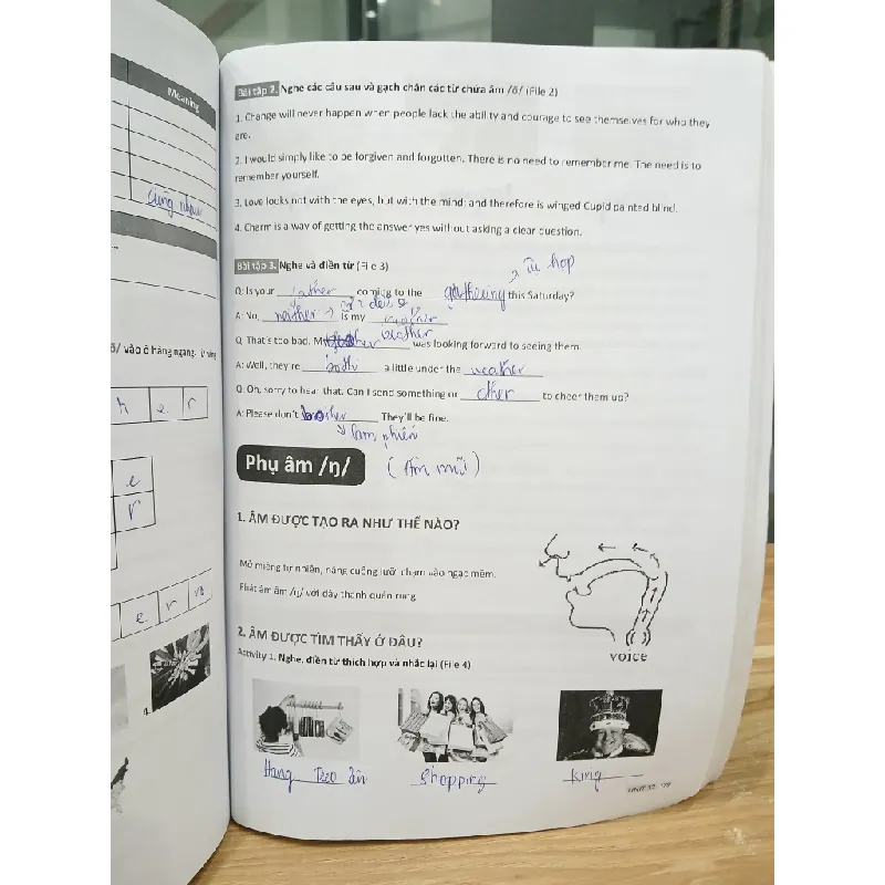 Giáo trình Beginner - Ms Hoa 561606