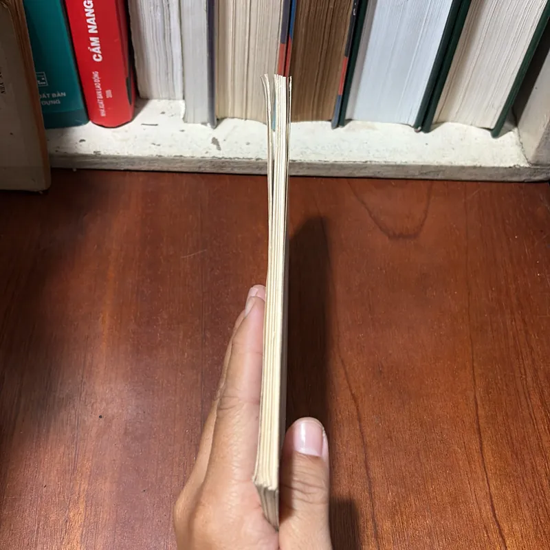 II Thế Giới: Sơ Lược Về Nước Cộng Hoà Hồi Giáo Iran - 1994 720783