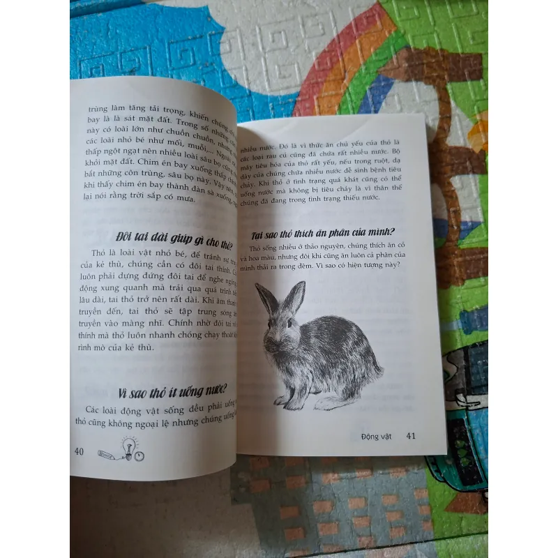 10 Vạn Câu Hỏi Vì Sao – Động Vật 1004976