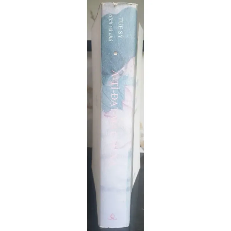 A Tì Đạt Ma Câu Xá 712404