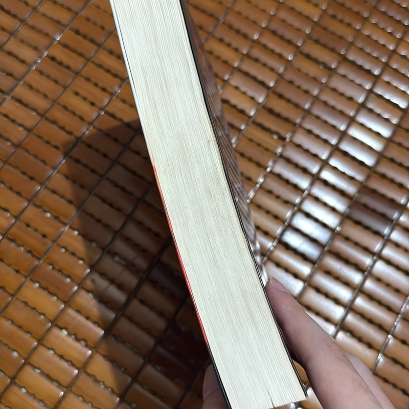 Hồ sinh tử - Sái Tuấn 526259