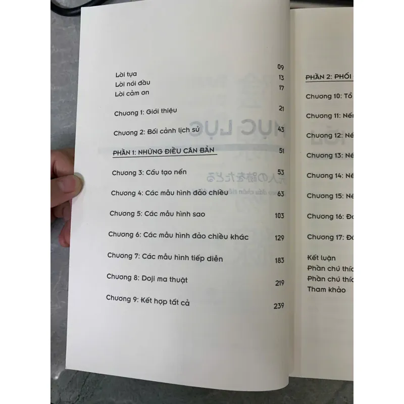 TUYỆT KỸ GIAO DỊCH BẰNG ĐỒ THỊ NẾN NHẬT - STEVE NISON 747000