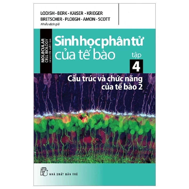 Sinh Học Phân Tử Của Tế Bào - Tập 4: Cấu Trúc Và Chức Năng Của Tế Bào 2 - Nhiều Tác Giả 285463