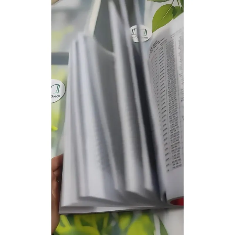 Hoàng Lịch Thông Thư 2023 - 2033 727380