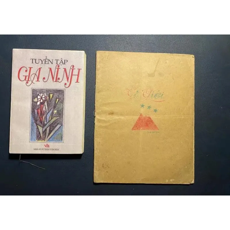[bản thảo - hiếm] Vô giới- Gia Ninh 1039650
