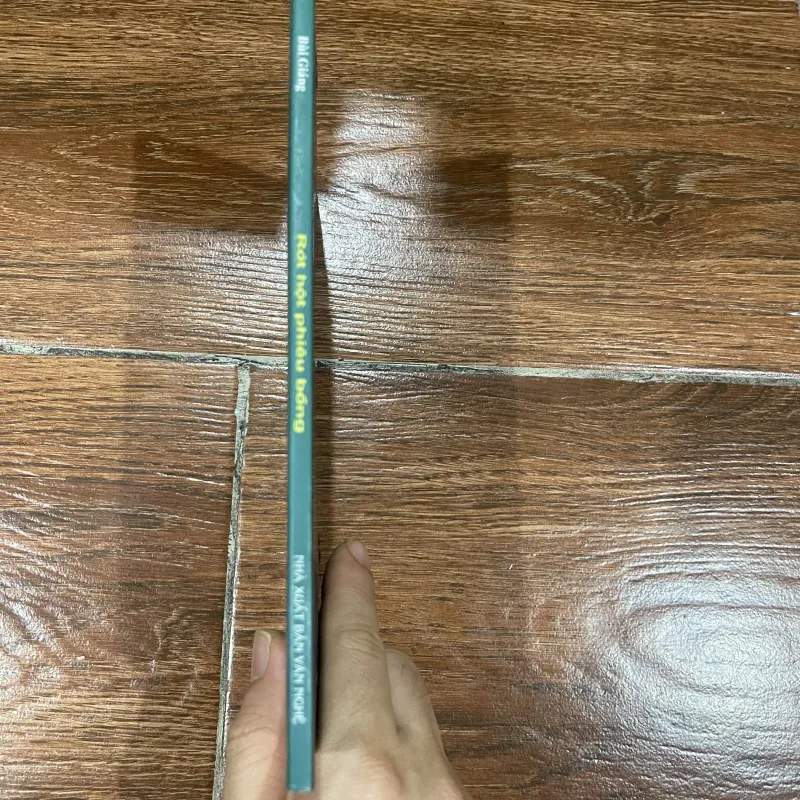 Rớt hột phiêu bồng - Bùi Giáng (7) 310640