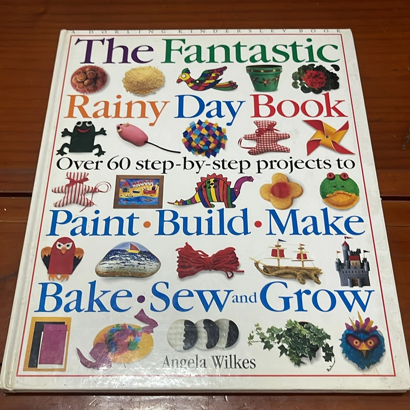 PICTURE BOOK The fantastic rainy day book 536456
