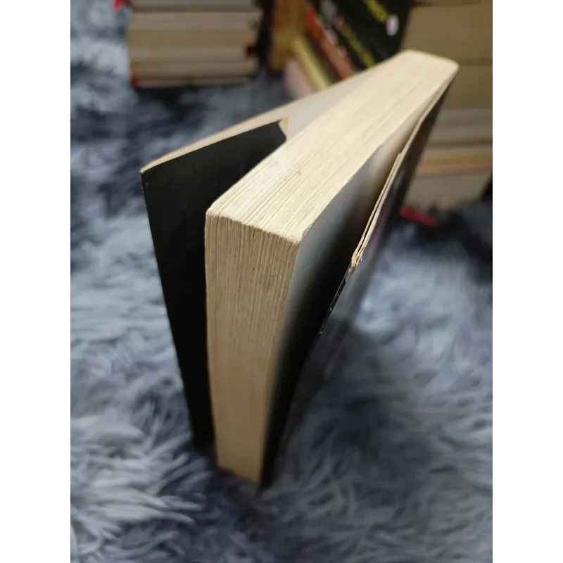 Đèn lồng đỏ treo cao cao (tuyển tập truyện ngắn Trung Quốc) 758978