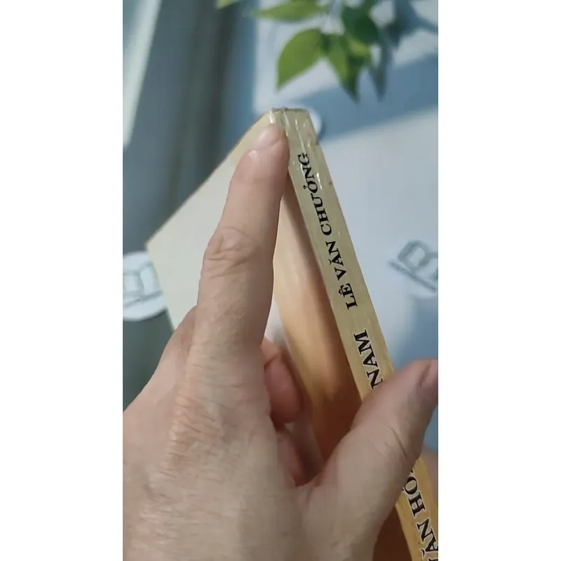 Cơ Sở Văn Hóa Việt Nam - Lê Văn Chưởng 727231