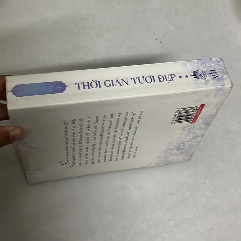 Thời gian tươi đẹp (Tập 2) - Đinh Mặc 557051