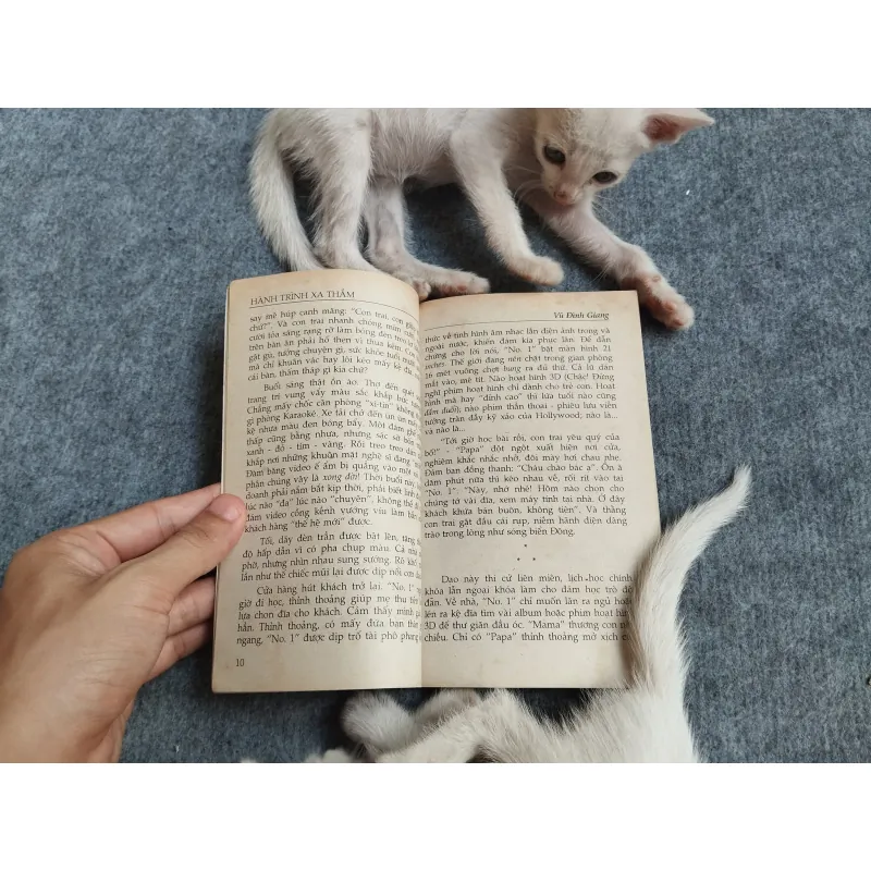 HÀNH TRÌNH XA THẲM - VŨ ĐÌNH GIANG 567807
