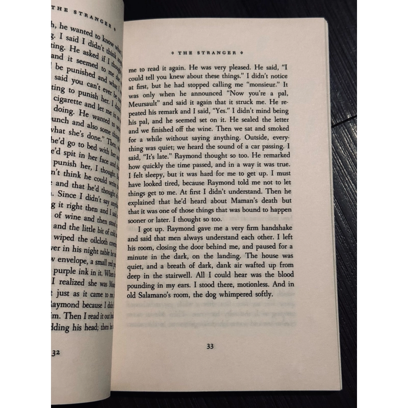 The Stranger (Người Xa Lạ)  532091