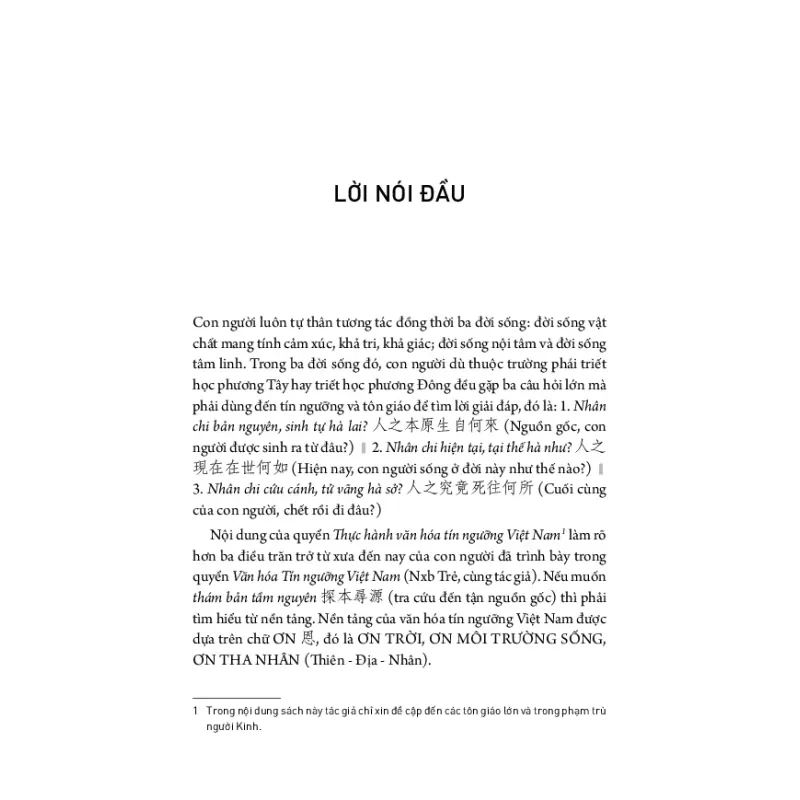 Thực Hành Văn Hóa Tín Ngưỡng Việt Nam - Nguyễn Hạnh 702752