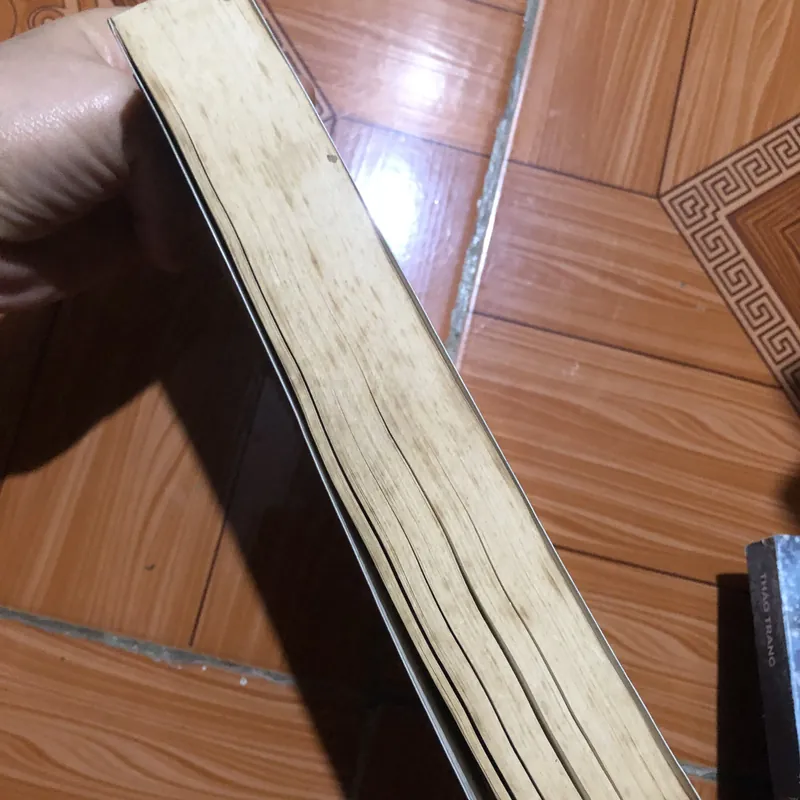 Tiểu thuyết lãng mạng cổ điển hay nhất - Mặt nạ hoàn hảo - Sherry thomas 713966