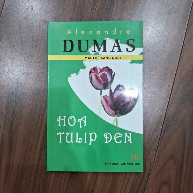 Hoa tulip đen 717723