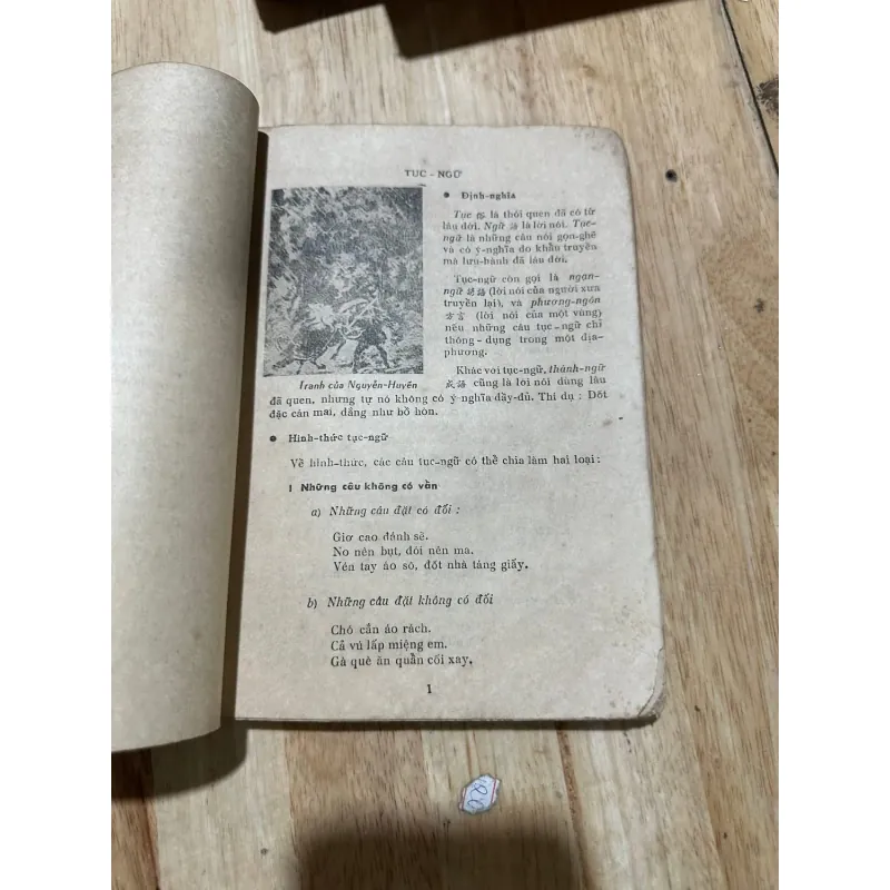 Việt -văn -độc -bản 1024269