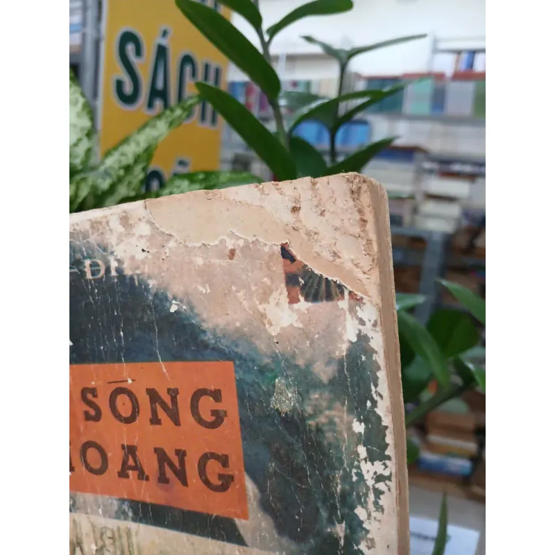 SÓNG HOANG - HOÀI ĐIỆP TỬ 1005414