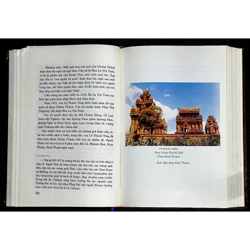 LỊCH SỬ VIỆT NAM GIẢN YẾU - Gs. LƯƠNG NINH ( Chủ biên) 1009598