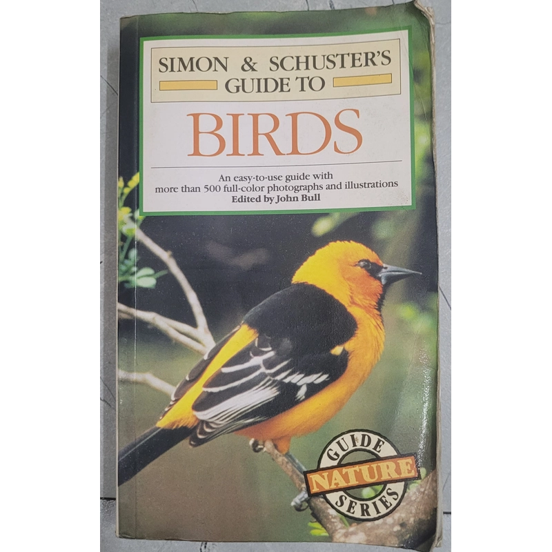BIRDS - Sách nói về các loài chim 526220