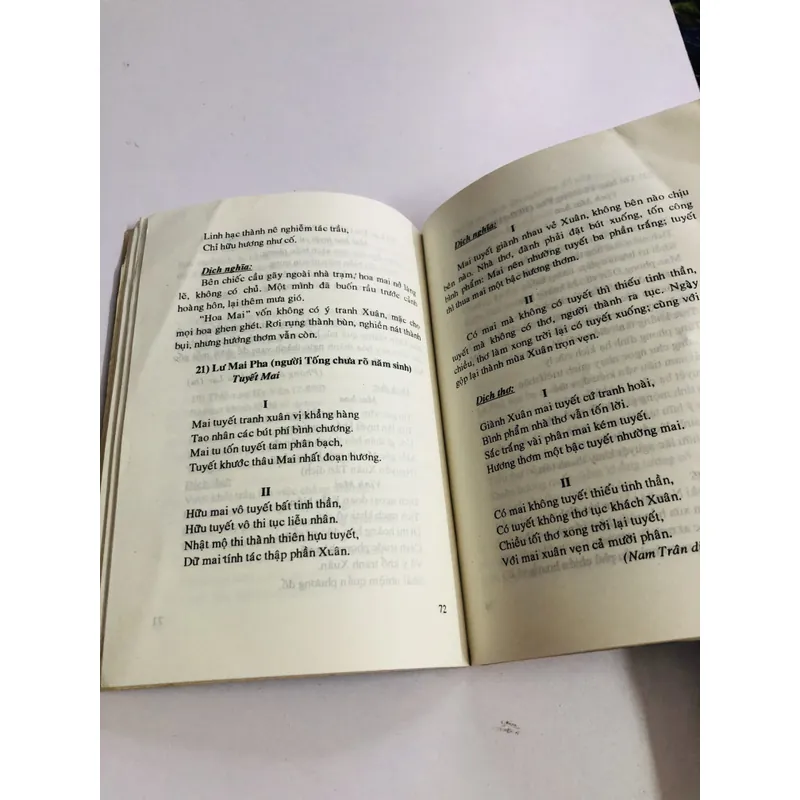 KỸ THUẬT TRỒNG VÀ GHÉP MAI 595067